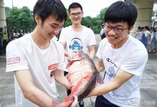 增持回.购:潮背后的a股信心