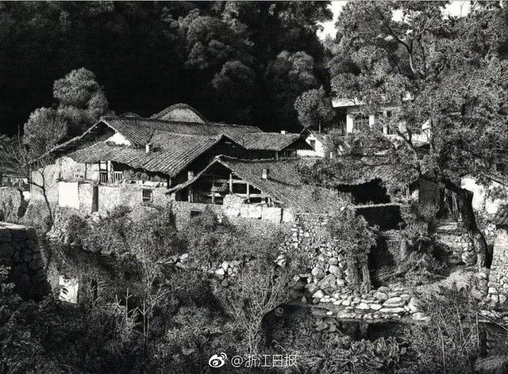 原创 陈茂波:预计香港第三季度经济保持增长