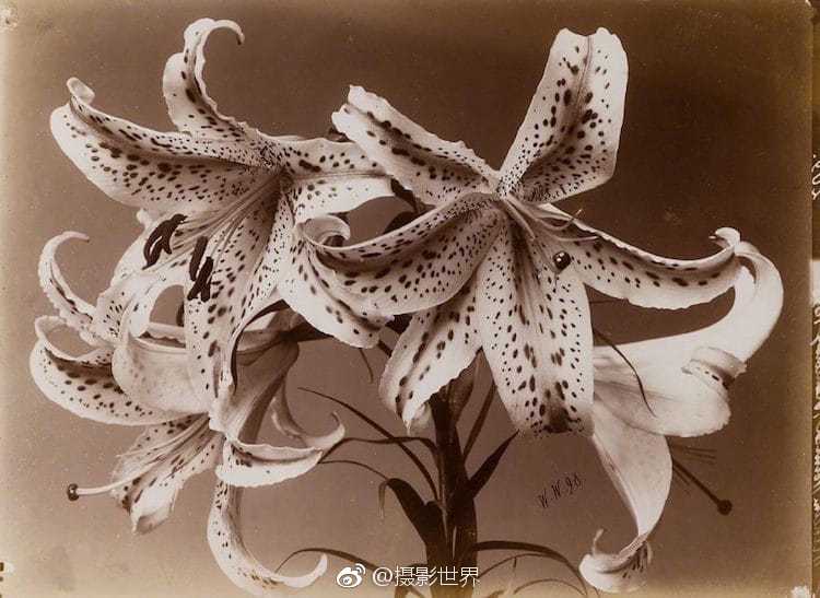 光大证;券,：维持金蝶国际买入评级 目标价45.8港元