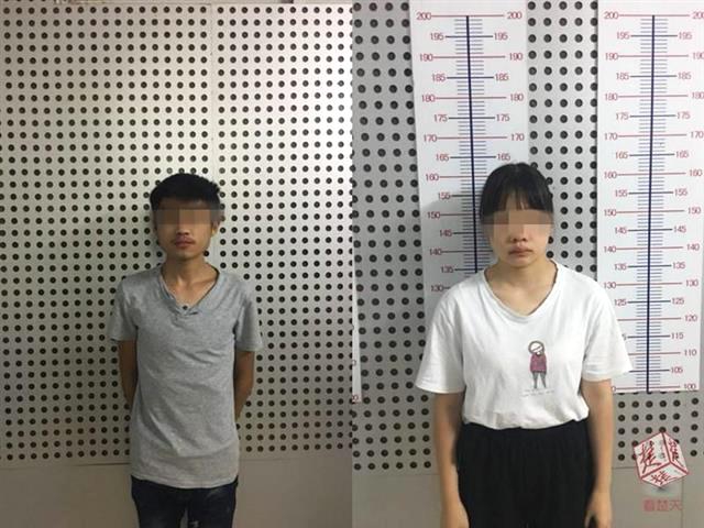 营,收增长近两成，恒鑫生活何以逆势增长？