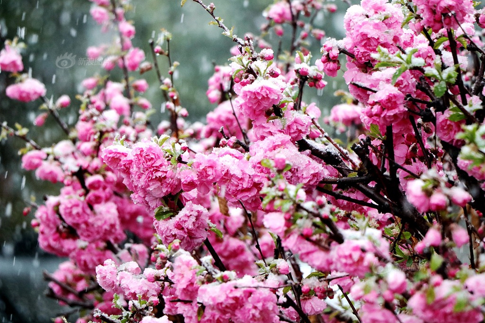 0?807热点追踪：15万吨天量订单！印度为何抢购中国豆油？