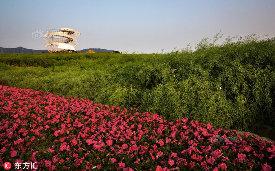 石四药!集{团}：已取得中国国家药品监督管理局有关吲哚布芬片的药品生产注册批件