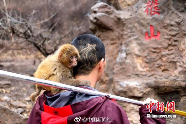 北‘京’璞樾开盘首月去化三成，成交均价9.96万/㎡