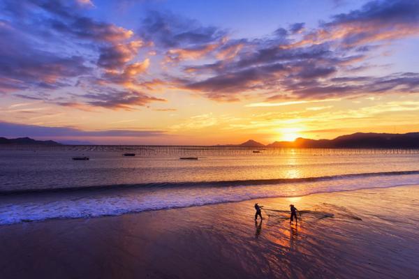 博雷顿计.划.回购公司h股