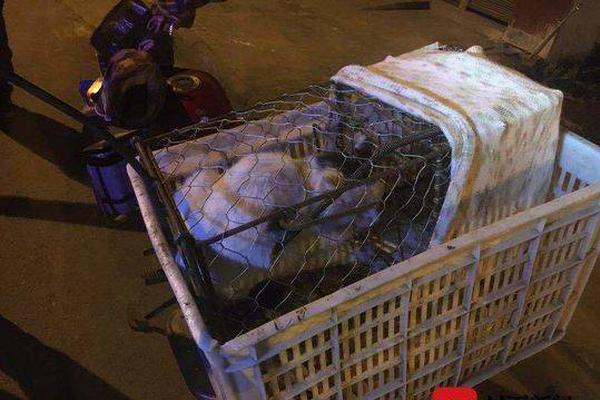 华闻集团（—000793）股民索赔再提交立案，遥望科技（002291）索赔案继续推进