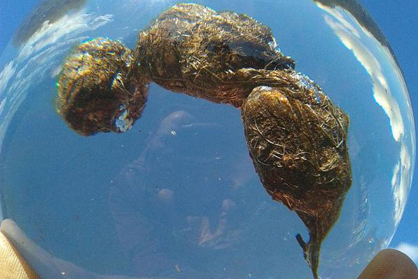 华.为余承东发文强调：安全是最大的豪华