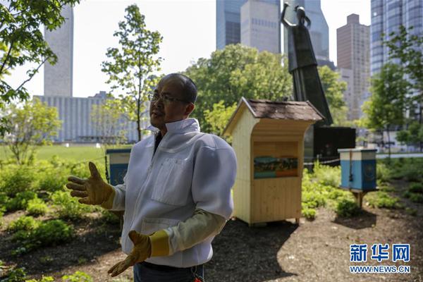 a.i乐观情绪推动下，全球最大主权财富基金回报率超5%