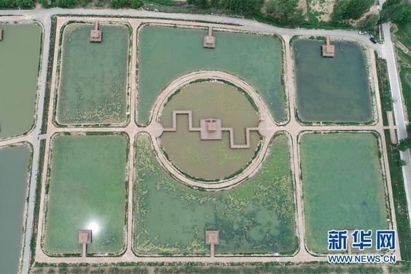 qfi,i最新重仓股曝光！买了这些股票