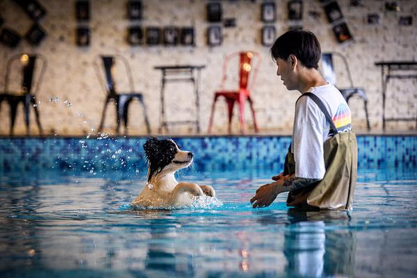 信用卡;不良转让市场升温 行业探索高效处置新路径