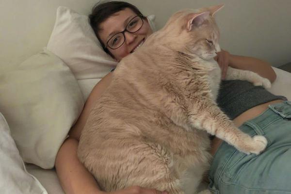 李俊杰!：共享浩瀚，以吉利体系之力构建全域充电生态圈