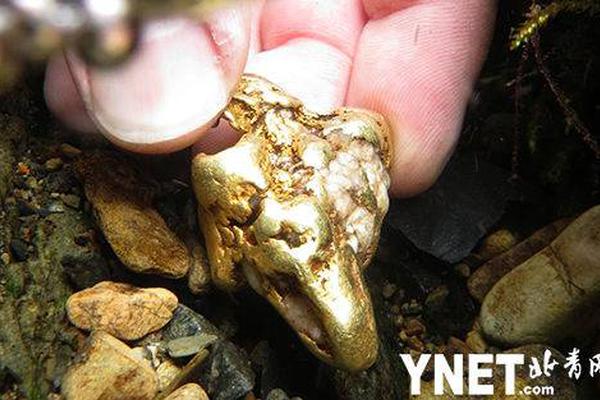 焦.煤期价单日重挫3.81%，供需格局悄然生变？