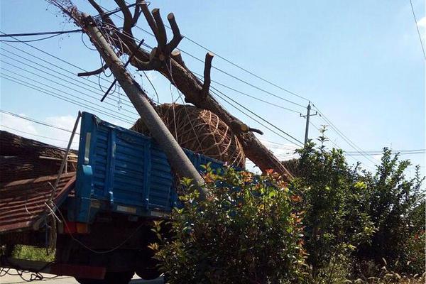 以防长：不—会停止在加沙地带的军事行动