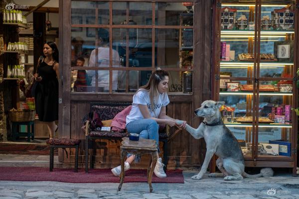 小米平板 ;8 系列兼容 macos 生态，可作为苹果副屏使用