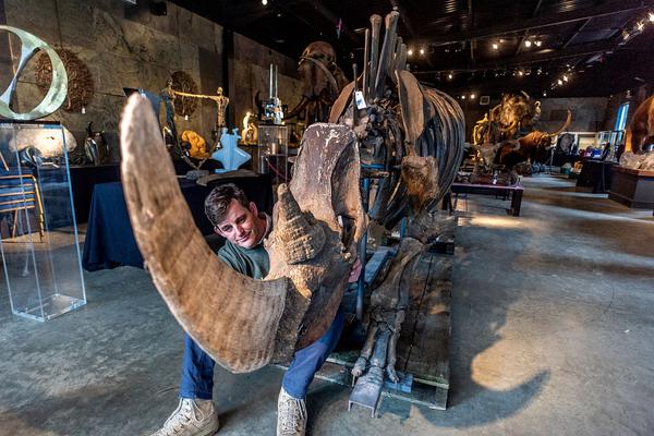 10家头部券商赚749{亿}，中信证券丢第一！境外业务哪家强？中金仍未超中信