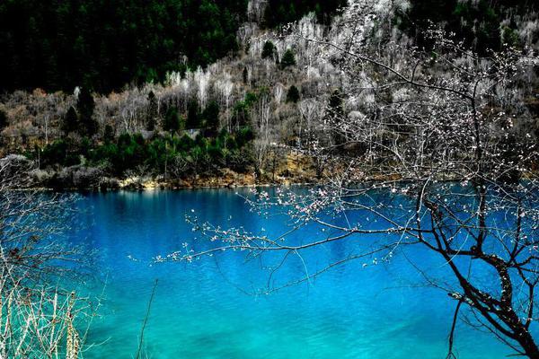 美<国>裁员规<模>创新高，美联储12月降息预期进一步强化