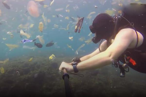 全力开—拓市场，哈铁科技上半年净利润同比增长55.61%