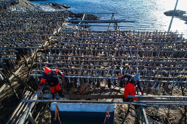 嘉;泽新能,：股东宁夏比泰拟减持不超3%公司股份