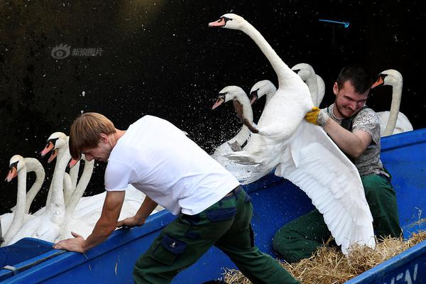 时{富}投资(0?1049.hk)停牌