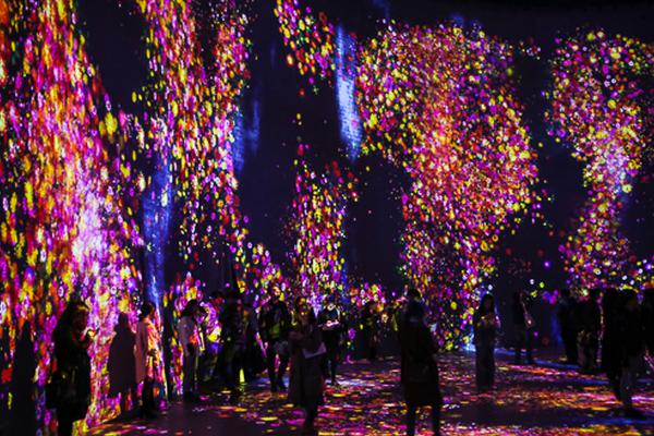 电.池行业大咖齐聚上海，最新研判