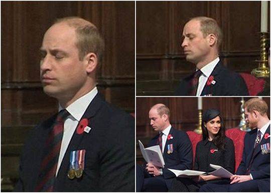 1‘0’2.0热点追踪：标肥价差走阔，猪价要反转了？