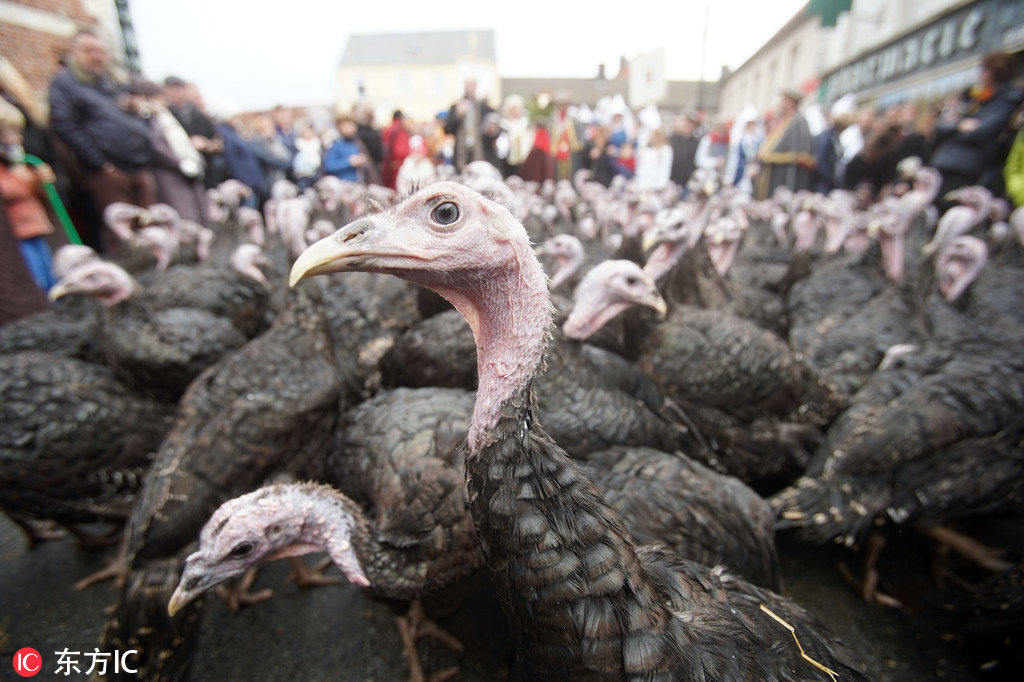 青岛国资{正}式控股瑞联新材