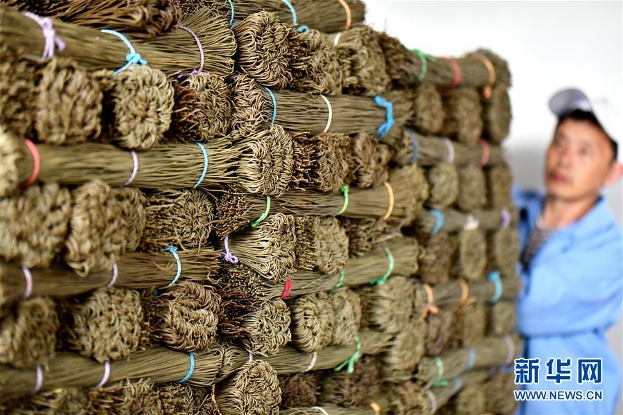 打,破字母序列命名传统 零跑lafa5的命名变革藏有哪些企图心