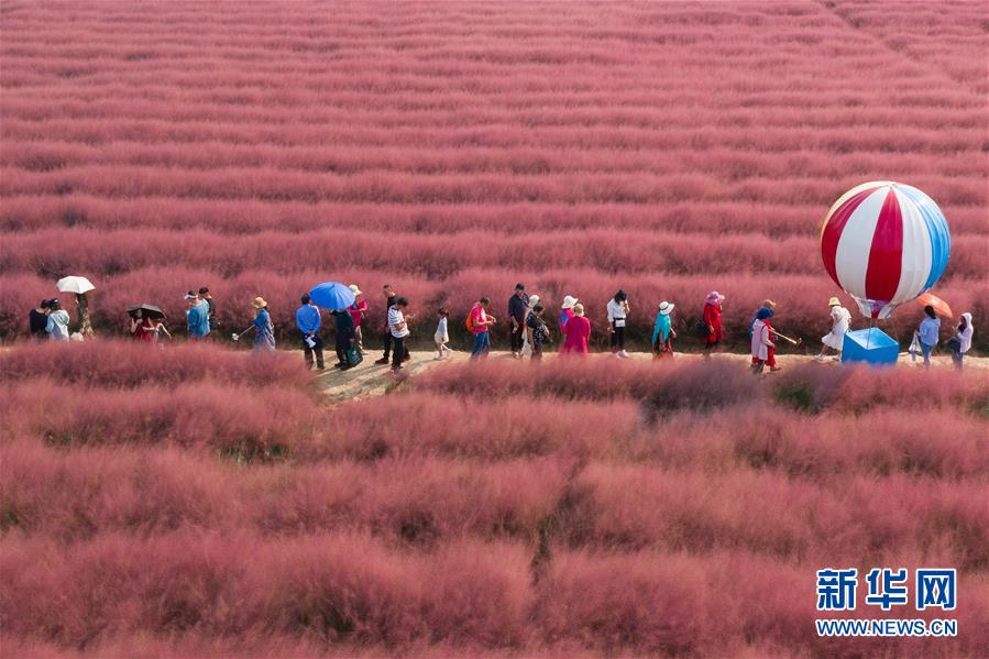 a{股}午评：沪指跌0.16%，有机硅板块集体爆发