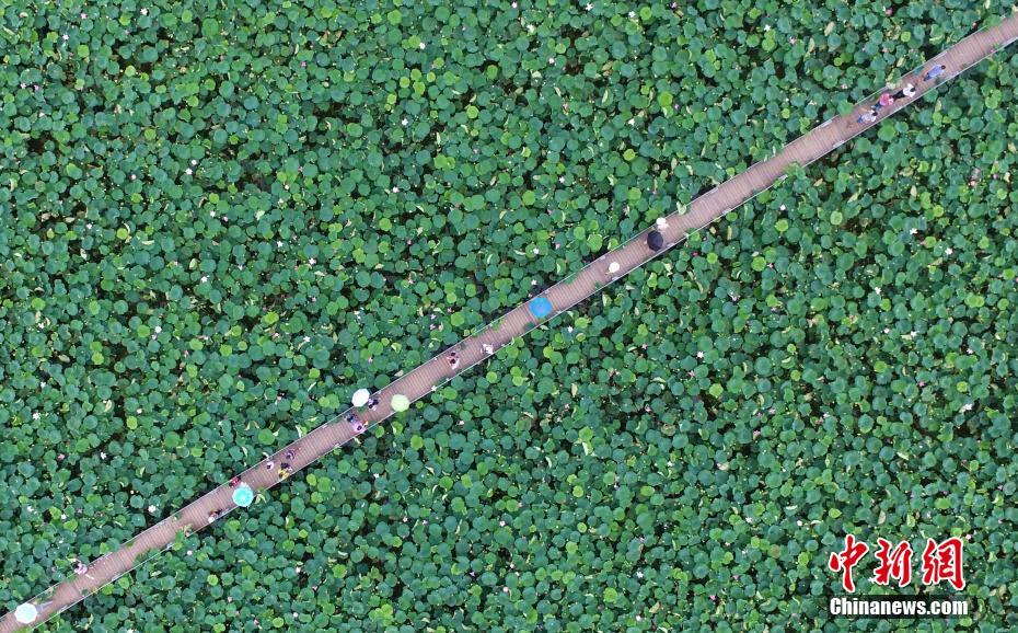 散.户?投资者跑赢标普500指数，交易量激增引发担忧