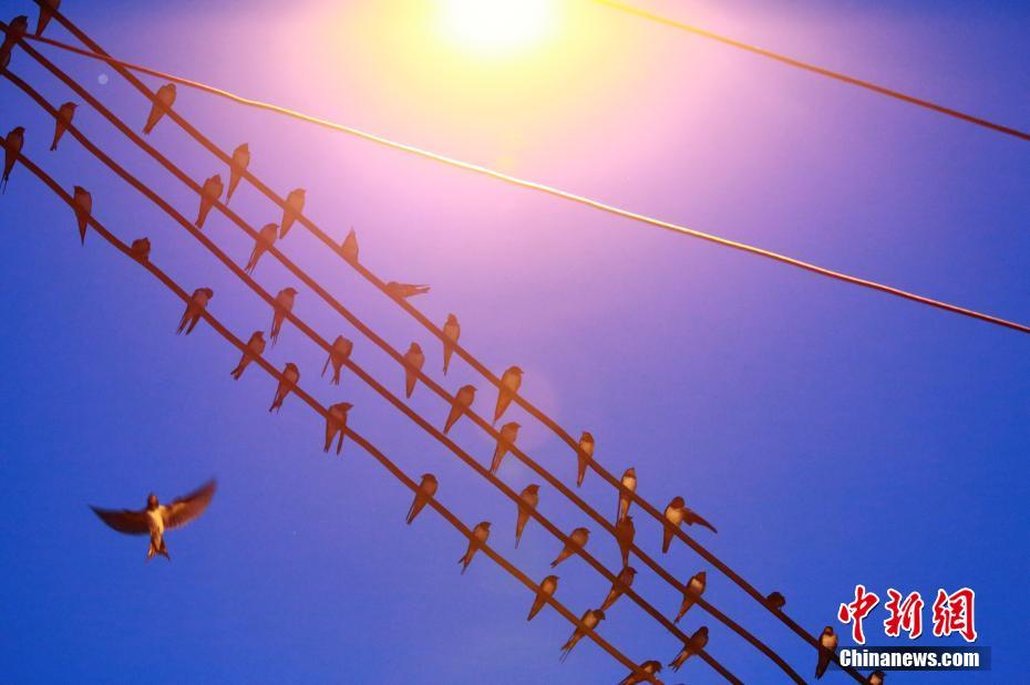 双良节能;银;票保证金引市场热议 银行业人士：保证金比例一般取决于多重因素